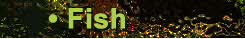 Fish Images