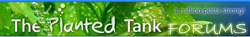 Planted Tank Forums